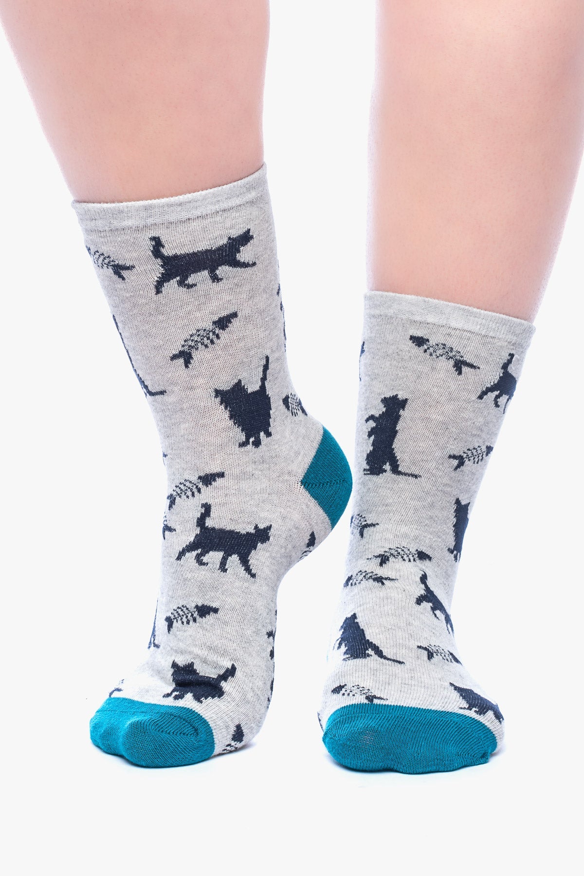Janis (3 pack) - cats